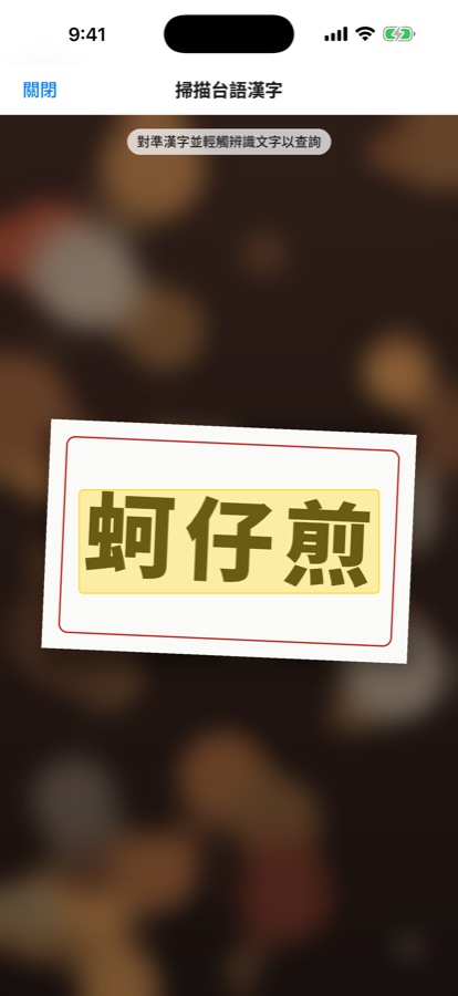 相機掃描畫面
